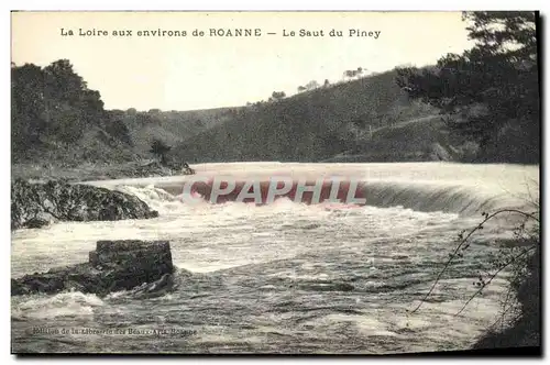 Ansichtskarte AK La Loire aux Environs de Roanne Le saut du Piney