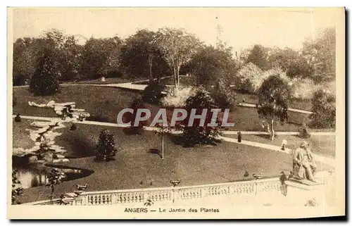 Cartes postales Angers Le Jardin des Plantes