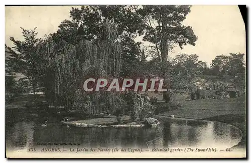 Ansichtskarte AK Angers Le Jardin des Plantes Ile des cygnes