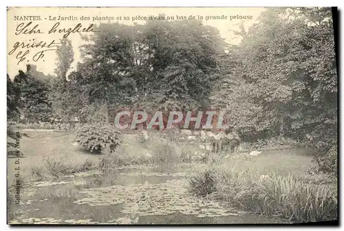Ansichtskarte AK Nantes Le Jardin des Plantes et sa Piece au bas de la grande pelouse
