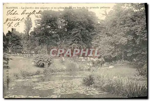 Cartes postales Nantes Le Jardin des Plantes et sa Piece au bas de la grande pelouse