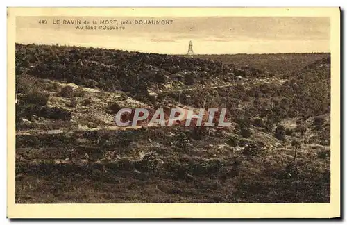 Cartes postales Militaria Douaumont Le Ravin de la Mort Au fond l ossuaire