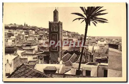 Cartes postales Tanger Mosquee Jedida et Palmier des Aissaouas