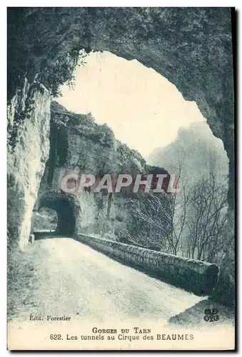 Cartes postales Militaria Gorges du Tarn Les tunnels au Cirque des Beaumes