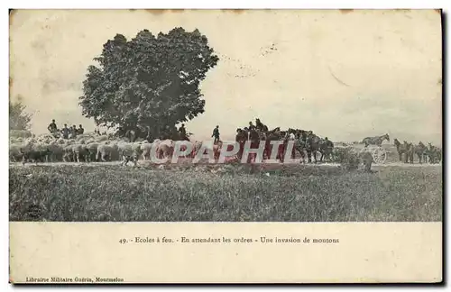 Cartes postales Militaria Ecoles a feu En attendant les ordres Une invasion de moutons Canons