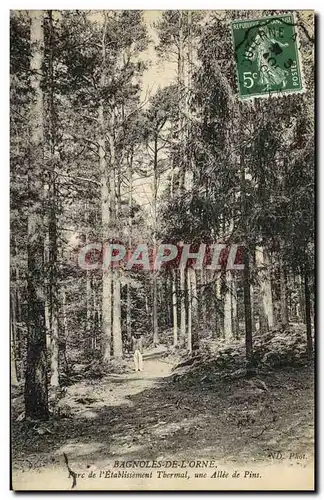 Cartes postales Bagnoles De L Orne Parc de l Etablissement Thermal Une allee de pins