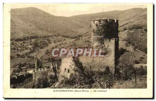 Cartes postales Kaysersberg Le Chateau