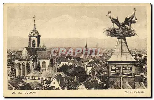 Cartes postales Colmar Nid de cigognes