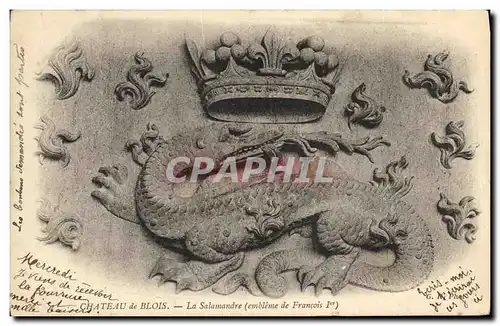 Cartes postales Blois Chateau La Salamandre Embleme de Francois 1er