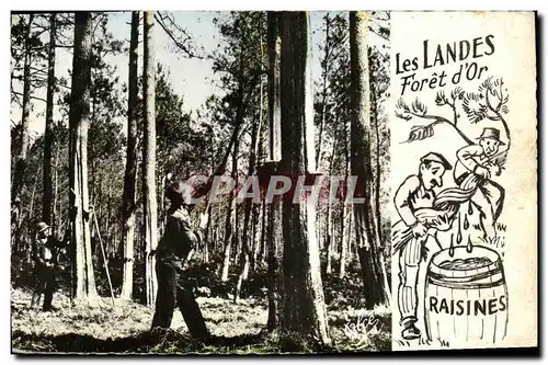 Cartes postales Les Landes Resinier ou Travail Foret d or