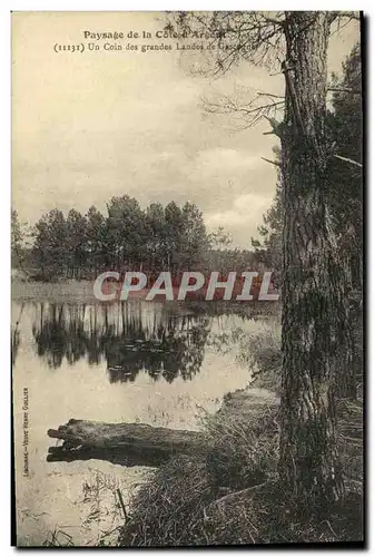 Cartes postales Paysage de la Cote d Argent Un Coin des Grandes Landes de Gascogne