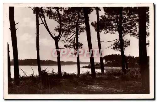 Ansichtskarte AK Hossegor Vue Generale sur le Lac a Travers les Pins