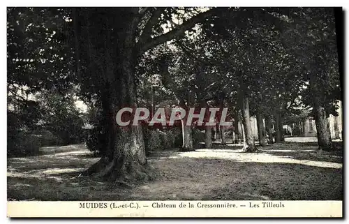 Cartes postales Muides Chateau de la Cressonniere Les Tilleuls