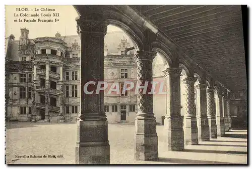 Cartes postales Blois Le Chateau La Colonnade Louis Xll et la Facade Francois l et