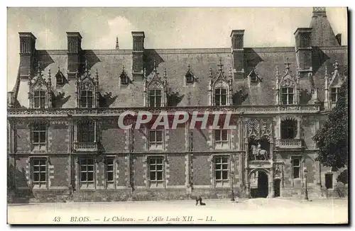 Cartes postales Blois Le Chateau Aile Louis XII