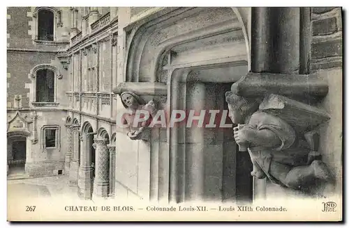 Cartes postales Blois De Chateau Colonnade Louis XII