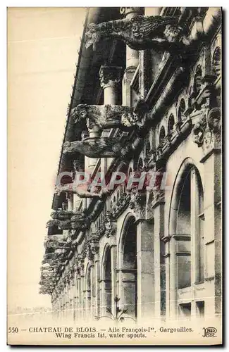 Cartes postales Blois De Chateau Aile Francois 1er Gargouilles