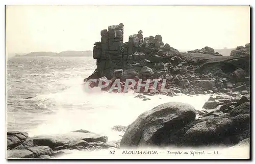 Cartes postales Ploumanch Tempete au Squevel