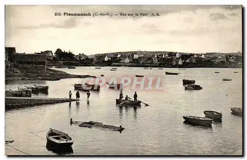 Ansichtskarte AK Ploumanch Vue Sur le Port