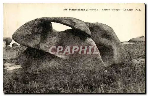 Cartes postales Ploumanch Rochers etranges Le lapin