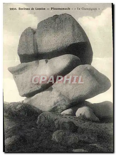 Ansichtskarte AK Ploumanach Environs de Lannion Le champignon