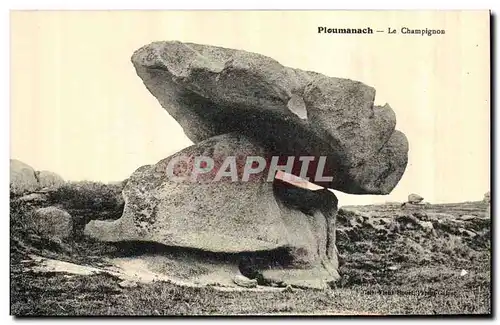 Cartes postales Ploumanach Le Champignon