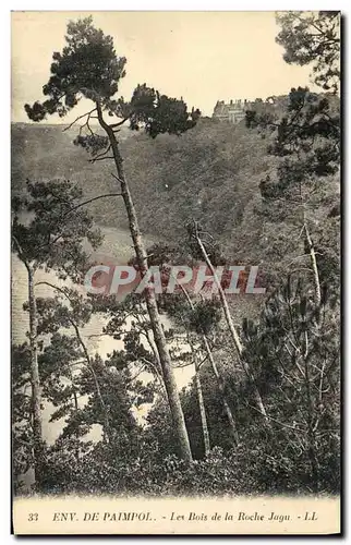 Cartes postales Environs de Paimpol Les Bois de la Roche Jagu