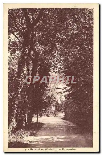 Cartes postales Saint Cast Un Sous Bois