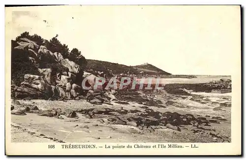 Cartes postales Trebeurden La pointe du Chateau et l lle Milliau