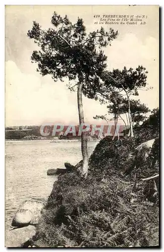 Cartes postales Trebeurden Les Pins de l lle Milliau et les Rochers du Castel