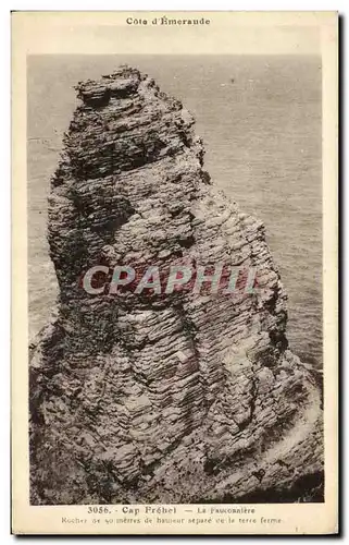 Cartes postales Cap Frehel Le Curieux Rocher de La Fauconniere aux