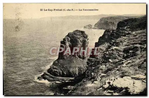 Cartes postales Cap Frehel La Fauconniere