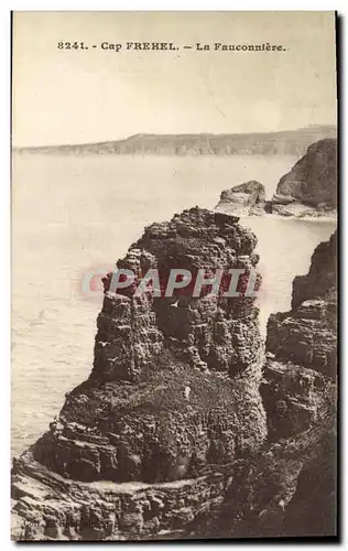 Cartes postales Cap Frehel La Fauconniere