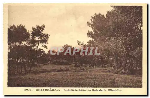 Cartes postales Ile de Brehat Clairiere dans les Bois de la Citadelle