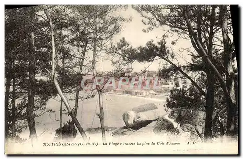 Cartes postales Tregastel La Plage a Travers les Pins du Bois d Amour