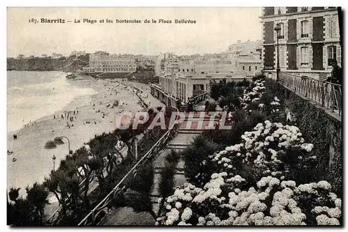 Cartes postales Biarritz La Plage et les hortensias de la Place Bellevue