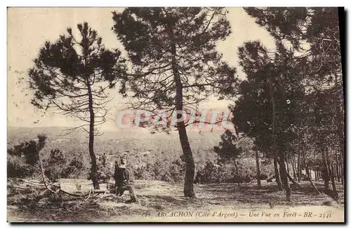 Cartes postales Arcachon Une Vue en Foret