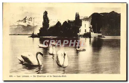 Cartes postales Lac Leman Ile Chartran et la Dent du Midi Cygnes