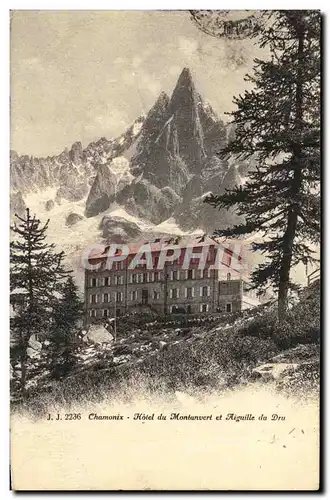 Cartes postales Chamonix Hotel du Montanvert et Aiguillle du Dru