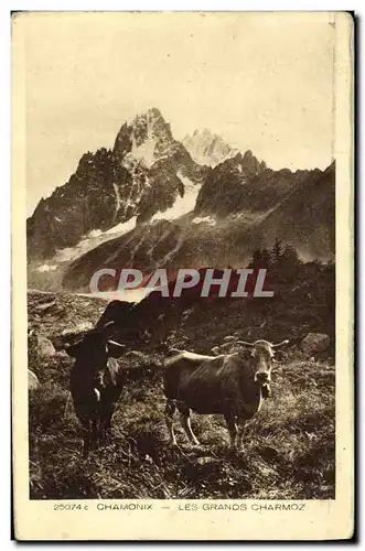 Cartes postales Chamonix Les Grands Charmoz Vache