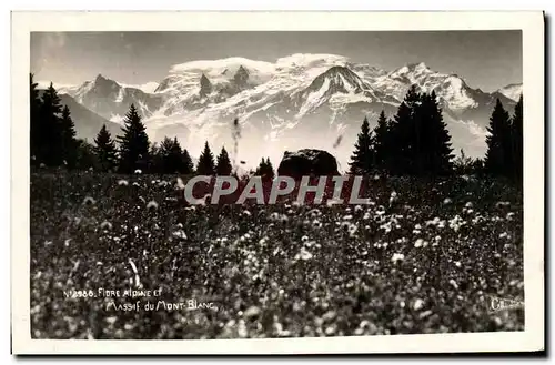 Cartes postales Chamonix Mont Blanc Massif