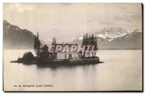 Ansichtskarte AK Chamonix Il de Salagnon Lac Leman