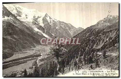 Cartes postales Chamonix Les Praz Le Mont Blanc et le Brevent vus de la Flegere