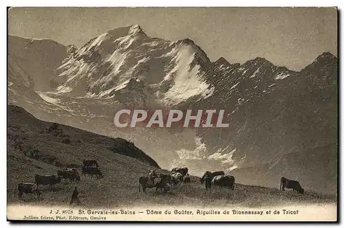 Ansichtskarte AK St Gervais les Bains Dome Du Gouter Aiguilles de Bionnassay et de Tricot Vaches