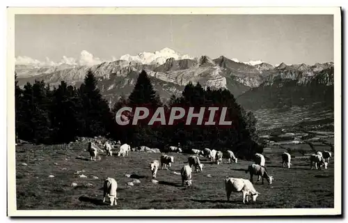 Cartes postales Le Saleve Vue sur le Mont Blanc