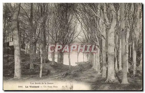 Cartes postales La Vicomte Un Sous Bois