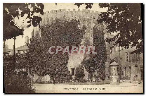 Cartes postales Thoinville La Tour aux Puces