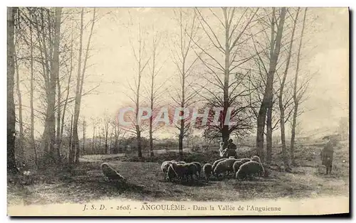 Cartes postales Angouleme Dans la Vallee de L Anguienne Moutons