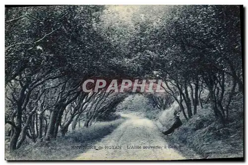 Cartes postales Environs de Royan L allee couverte a Suzac