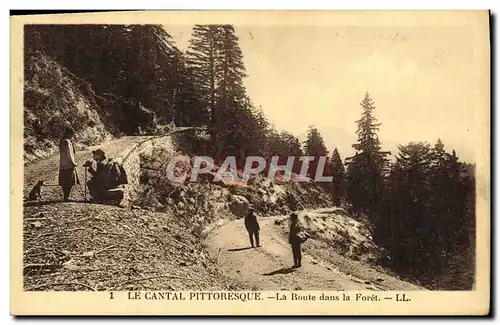 Ansichtskarte AK Le Cantal Pittoresque La Route Dans la Foret